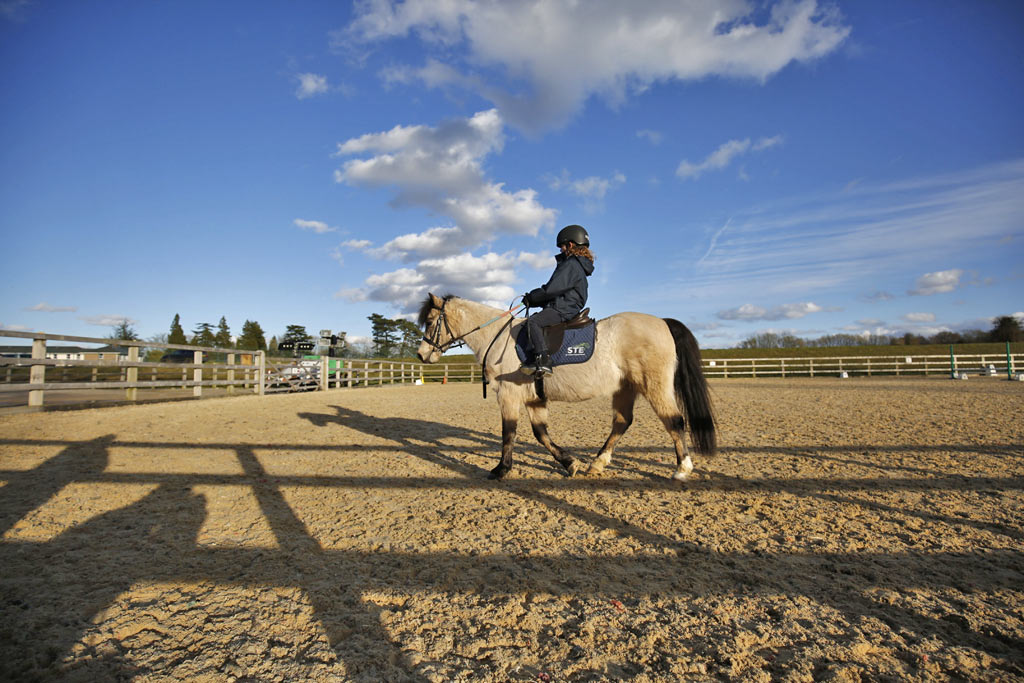 Equestrian - St Teresa's Effingham School